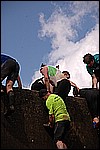 194.jpg