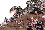 199.jpg