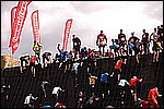 201.jpg