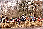 205.jpg
