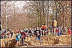 206.jpg