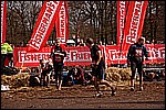 207.jpg