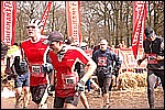 208.jpg