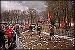 213.jpg
