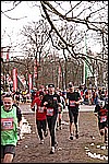 219.jpg