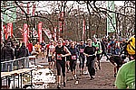 221.jpg