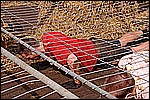 235.jpg
