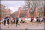 243.jpg