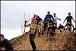 045.jpg