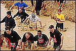 108.jpg