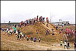 110.jpg