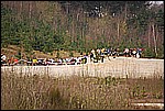 112.jpg