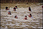 122.jpg
