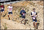 154.jpg