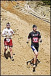 155.jpg