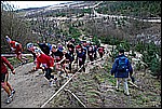174.jpg