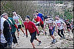 175.jpg