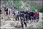 176.jpg