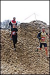 194.jpg