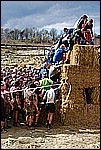 197.jpg