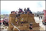 201.jpg