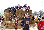 203.jpg