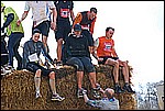 208.jpg