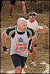 213.jpg