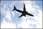 223.jpg