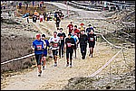 225.jpg