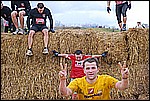 229.jpg