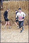 231.jpg