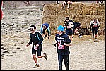 245.jpg