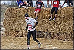 273.jpg