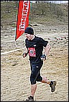 275.jpg
