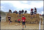 285.jpg