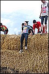 290.jpg