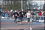 338.jpg