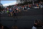 341.jpg