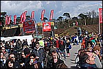 346.jpg