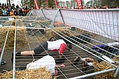 051.jpg