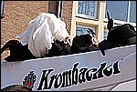 061.jpg