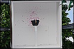 011.jpg