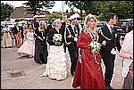 243.jpg