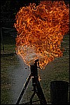 050.jpg