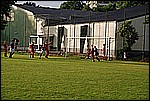 035.jpg