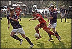 042.jpg