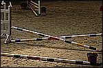 048.jpg