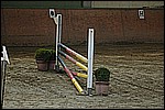 049.jpg