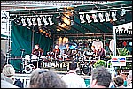 031.jpg